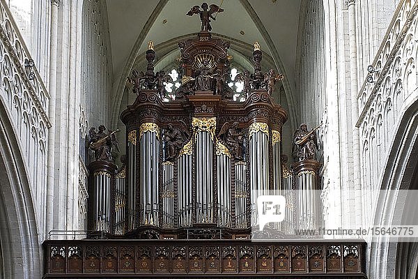 Schyven-Orgel  Orgel in der Liebfrauenkathedrale  Onze-Lieve-Vrouwekathedraal  Altstadt von Antwerpen  Flandern  Belgien  Europa