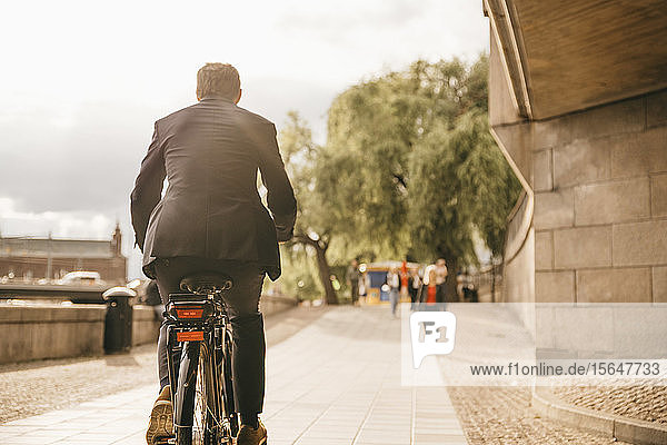 Rear view of businessman riding bicycle on footpath in city