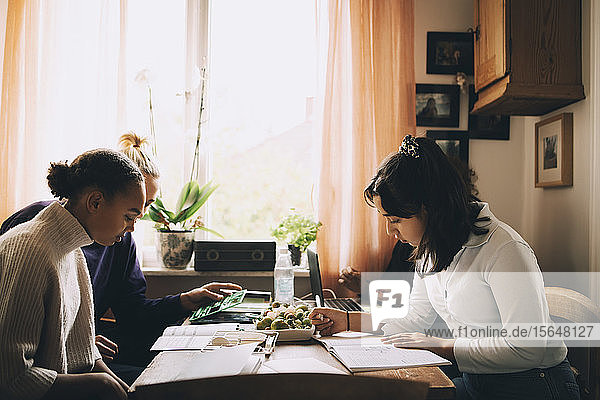 Multiethnische Freunde lernen zusammen  während sie zu Hause einen Laptop benutzen
