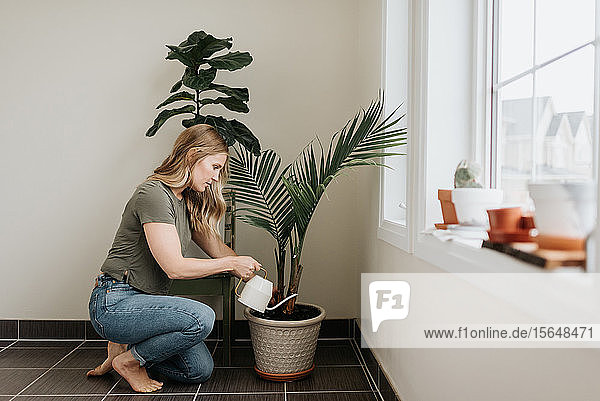 Frau gießt Zimmerpflanzen