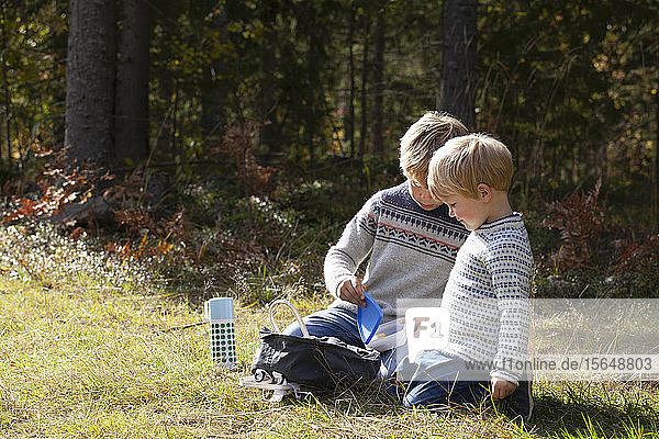 Brothers having picnic in forest on sunny day