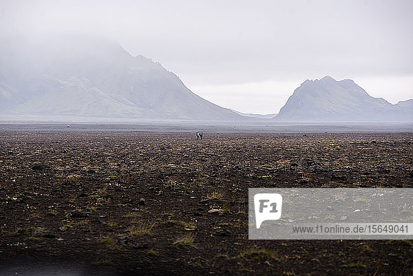 Zwei Menschen inmitten einer weiten flachen Landschaft Landmannalaugar Island