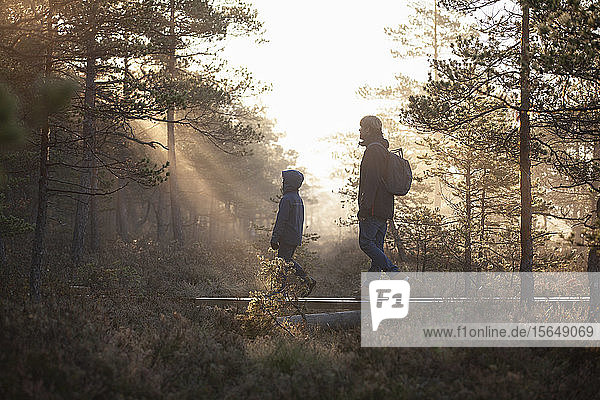 Vater und Sohn gehen auf Brettern im Wald  Finnland