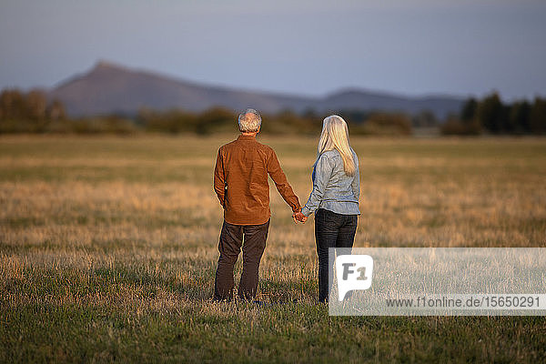 Händchenhaltendes Paar in einem Feld bei Sonnenuntergang in Picabo  Idaho  USA