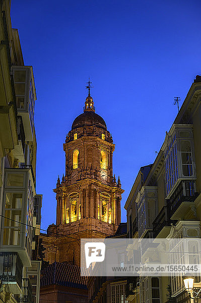 Kathedrale von Malaga bei Nacht in Malaga  Spanien
