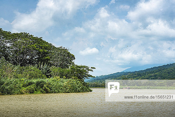 Tarcoles River  Carara National Park  Puntarenas Province  Costa Rica