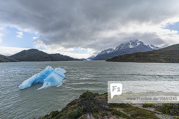 Icebergs on Lago Grey  with Cerro Paine Grande and Grey glacier in the background  Torres del Paine National Park  Chile  South America