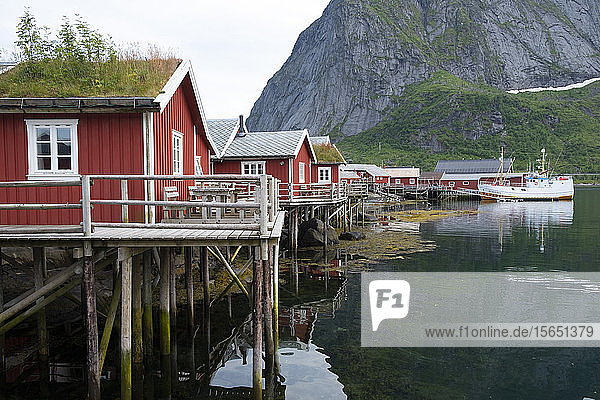 Rorbuer  traditionelle Fischerhütten  die jetzt als Touristenunterkünfte genutzt werden  in Reine  Moskenesoya  Lofoten  Norwegen