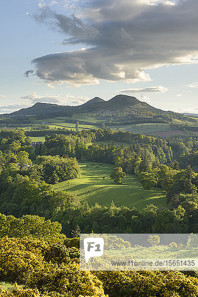 Die Eildon Hills in den Scottish Borders  fotografiert von Scott's View bei Bemersyde  Schottland  Vereinigtes Königreich