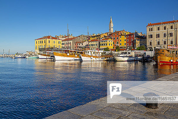 View of harbour and the old town with the Cathedral of St. Euphemia  Rovinj  Istria  Croatia  Adriatic