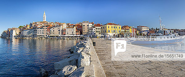 Blick auf den Hafen und die Altstadt mit der Kathedrale der Heiligen Euphemia  Rovinj  Istrien  Kroatien  Adria