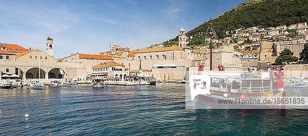 Der Hafen der Altstadt von Dubrovnik  UNESCO-Weltkulturerbe  Dubrovnik  Kroatien