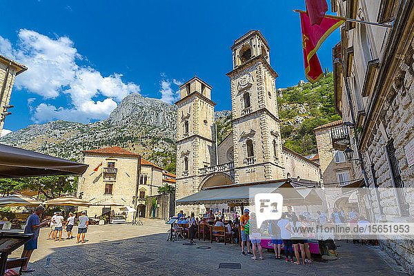 Blick auf die Kathedrale St. Tryphon  Altstadt  UNESCO-Weltkulturerbe  Kotor  Montenegro  Europa