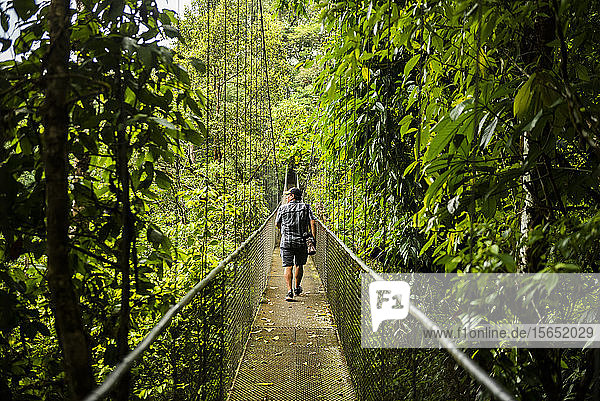 Hängebrücken im Nebelwald bei San Luis  Provinz Alajuela  Costa Rica