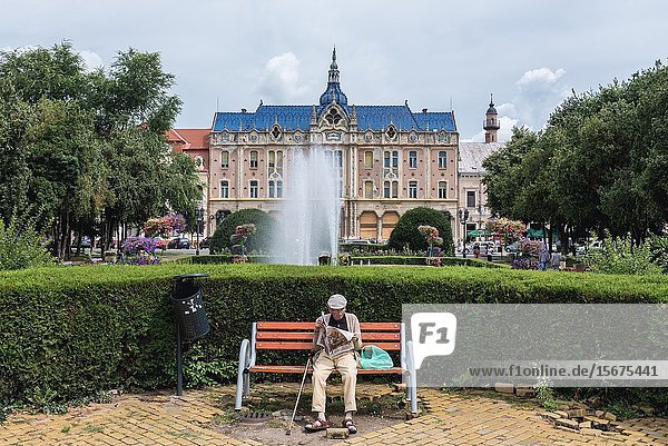 Parcul Central Central Park In Satu Mare The Capital Of Satu Mare County Romania View With Dacia Hotel On Background