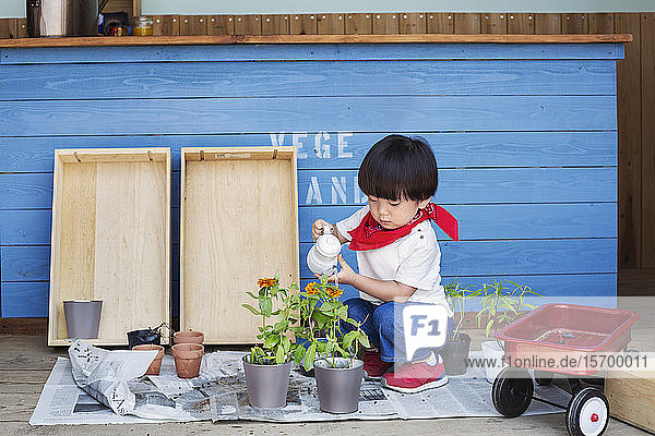 Japanischer Junge steht vor einem Hofladen  hält eine Blume und schaut in die Kamera.
