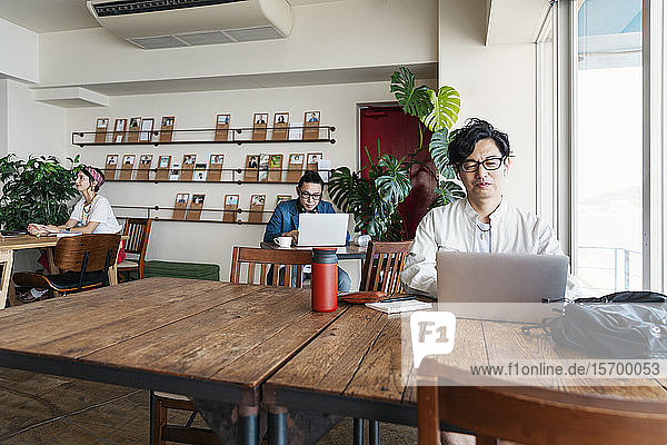 Gruppe junger japanischer Fachleute  die in einem Raum für Zusammenarbeit an Laptops arbeiten.