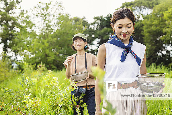 Two Japanese women picking berries in a field.