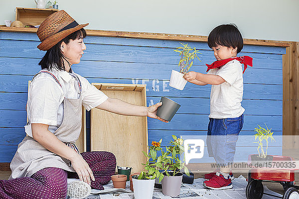 Japanese woman wearing hat and boy sitting outside a farm shop  planting flowers into flower pots.