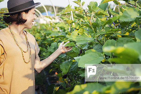 Lächelnde Japanerin mit Hut im Gemüsefeld stehend  Blatt berührend.