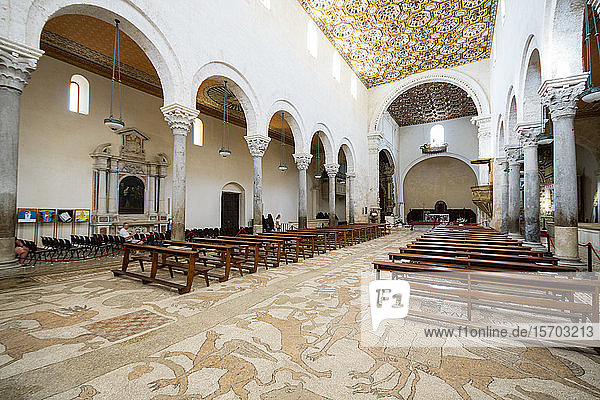 Italy  Apulia  Otranto  Santa Maria Annunziata cathedral  mosaic on the floor