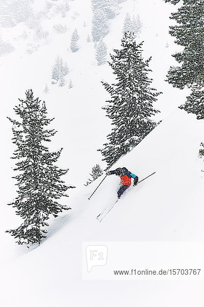 Skier skiing  Kühtai  Austria