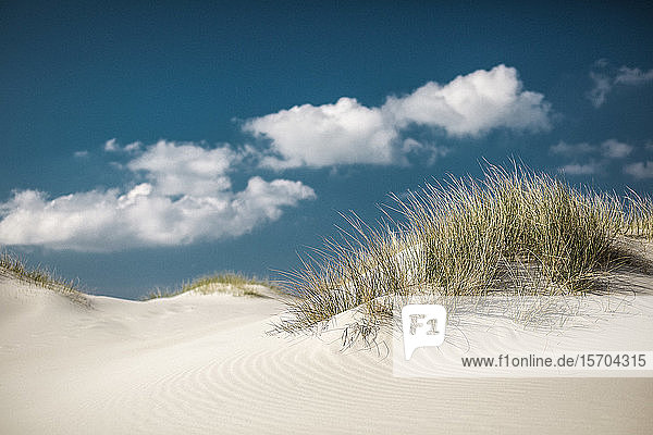 Idyllische Sanddünen unter sonnigem blauem Himmel mit Wolken  Nebel  Schleswig Holstein  Deutschland