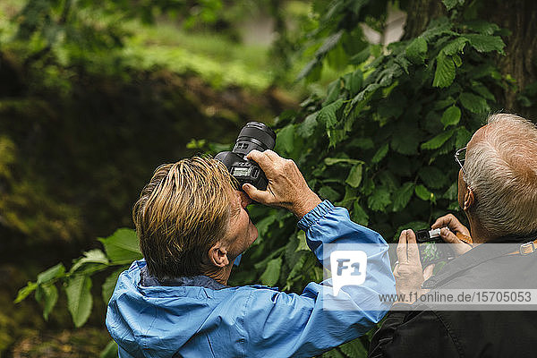 Senior male friends photographing tree through camera during photography course