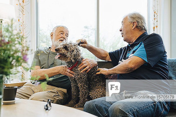 Ältere Männer unterhalten sich  während sie ihr Haustier streicheln  das auf dem Sofa im Altenheim sitzt