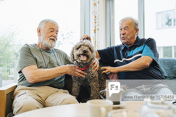 Retired senior male friends talking while stroking pet sitting on sofa at elderly nursing home