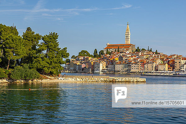 View of harbour and the old town with the cathedral of St. Euphemia  Rovinj  Istria  Croatia  Adriatic  Europe