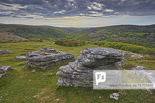 Ein massiver Granitfelsen am Bench Tor  einem der klassischen Merkmale der Landschaft des Dartmoor-Nationalparks  Devon  England  Vereinigtes Königreich  Europa