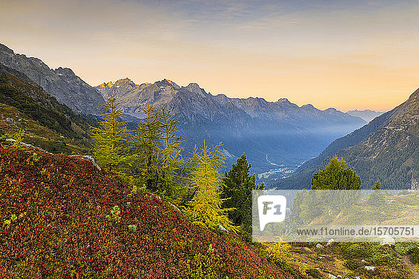 Herbstliche Farben bei Sonnenaufgang  Malojapass  Bergell  Engadin  Kanton Graubünden  Schweiz  Europa
