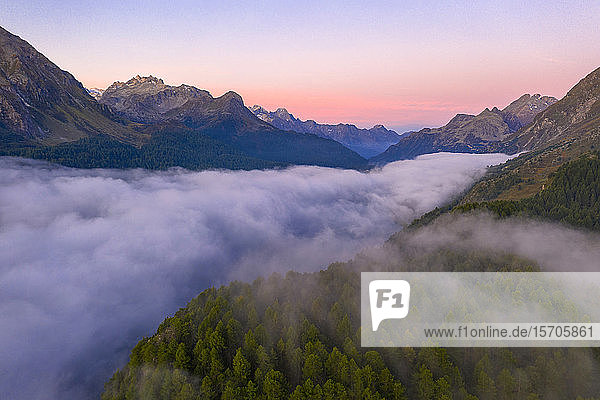 Nebliger Sonnenaufgang über den Wäldern des Malojapasses in der Morgendämmerung  Luftaufnahme mit Drohne  Engadin  Kanton Graubünden  Schweiz  Europa