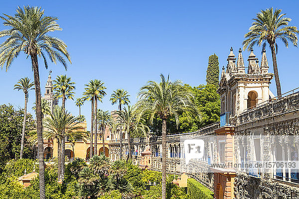 Galeria de Grutesco und das Portal des Privilegs in den Gärten des Real Alcazar  UNESCO-Weltkulturerbe  Sevilla  Andalusien  Spanien  Europa
