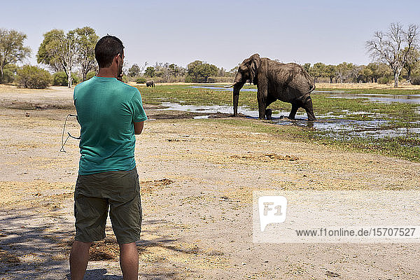Man watching an elephant walking out of the water  Khwai  Botswana