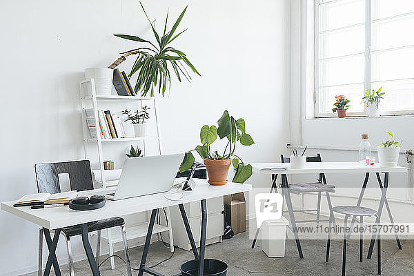 Interior of an empty office