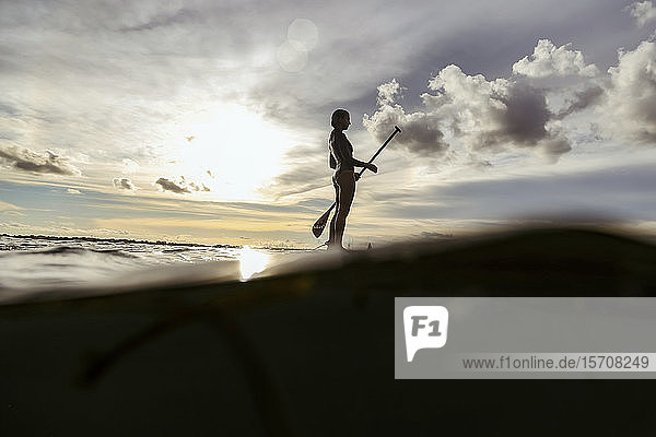 Female SUP surfer at sunset  Bali  Indonesia