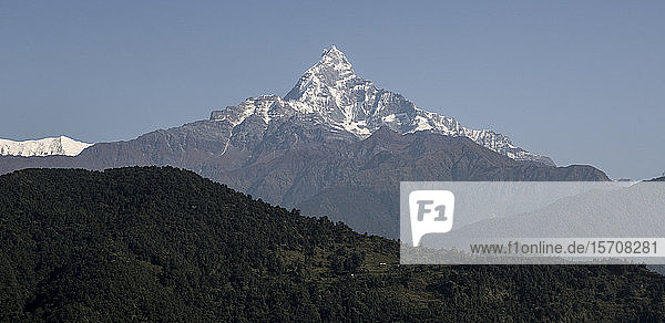 Machapuchare  Dhaulagiri-Rundwanderung  Himalaya  Nepal