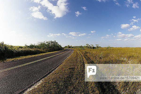 USA  Florida  Empty road in Everglades National Park  Florida