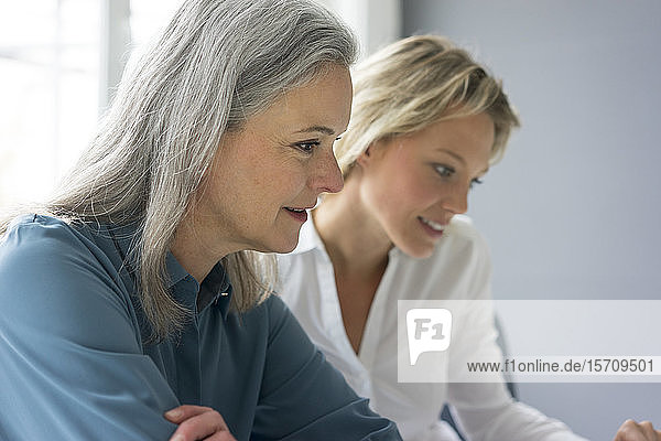 Porträt von zwei fokussierten Geschäftsfrauen  die im Büro zusammenarbeiten