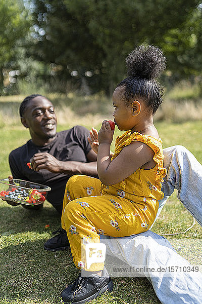 Father and daughter eating fruit on a meadow in a park
