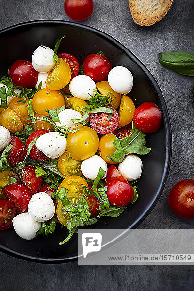 Draufsicht auf Salat mit Rucola  Mozzarella  Kirschtomaten und Basilikum