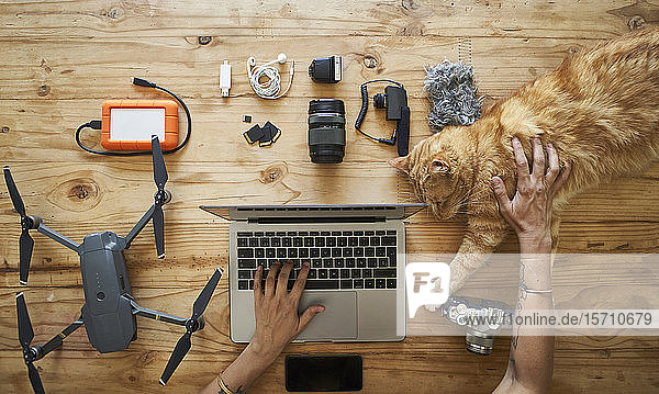 Person sitting at table with photografic equipment and ginger cat using laptop overhead view