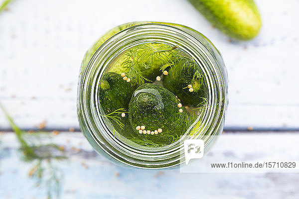 Draufsicht auf eingelegte Dillpickles mit Senfkörnern