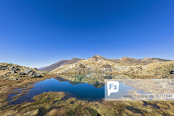New Zealand  North Island  Clear blue sky over shiny lake in North Island Volcanic Plateau