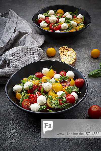Salatschüssel mit Rucola  Mozzarella  Kirschtomaten und Basilikum