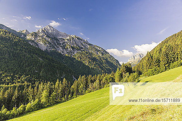 Österreich  Kärnten  Blick auf Gailtaler Polinik und bewaldetes Tal im Sommer