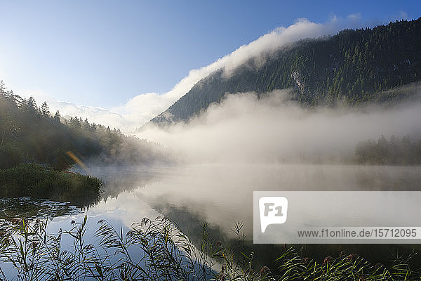 Deutschland  Bayern  Mittenwald  Dichter Nebel im Morgengrauen über dem Ferchensee