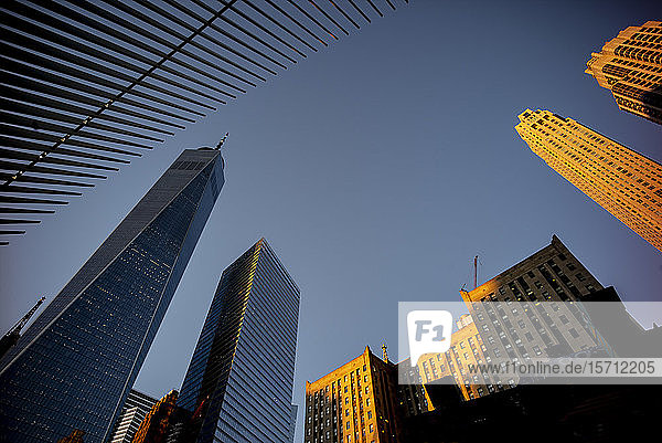 USA  New York  New York City  Hohe Wolkenkratzer in der Innenstadt gegen den klaren Himmel in der Abenddämmerung